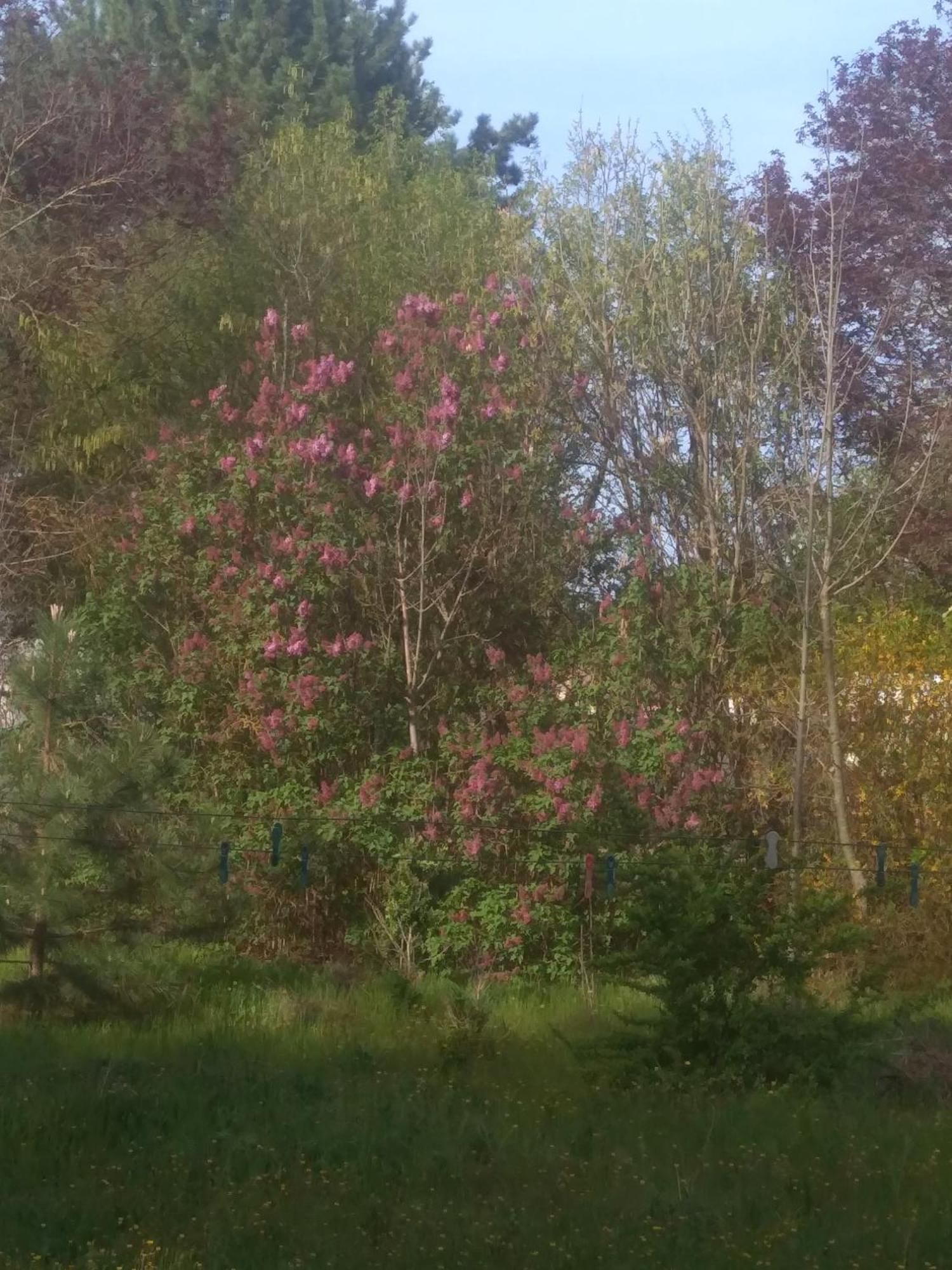 A La Campagne