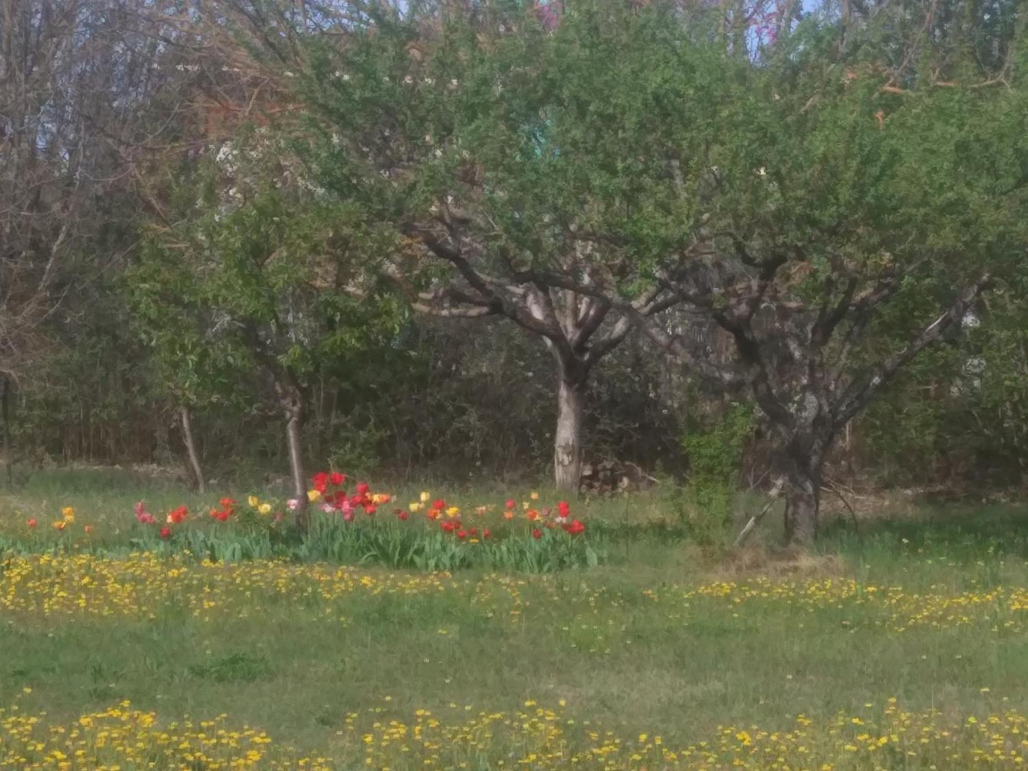 A La Campagne Aiglun (Alpes-de-Haute-Provence)